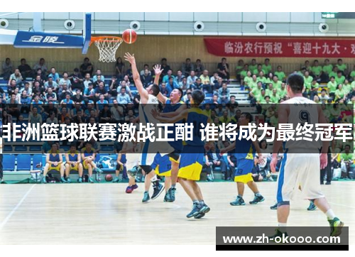 非洲篮球联赛激战正酣 谁将成为最终冠军