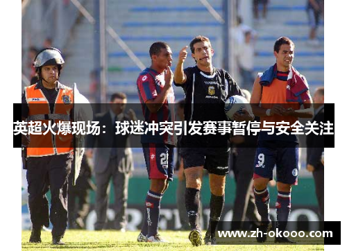 英超火爆现场：球迷冲突引发赛事暂停与安全关注